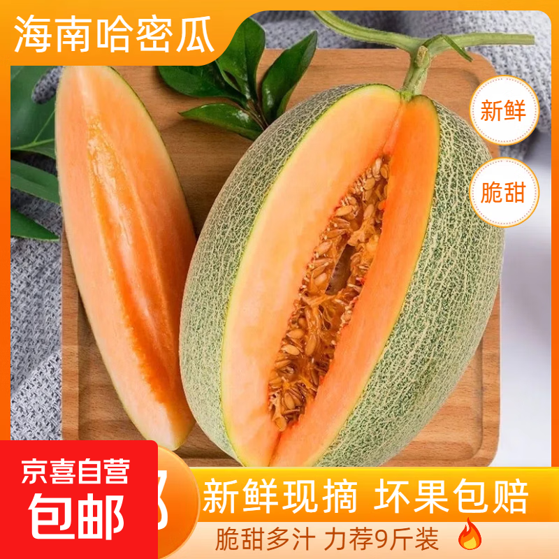 正宗海南哈密瓜 新鲜水果当季脆甜网纹瓜西州蜜香瓜老汉瓜 带箱8-10斤3-4个瓜
