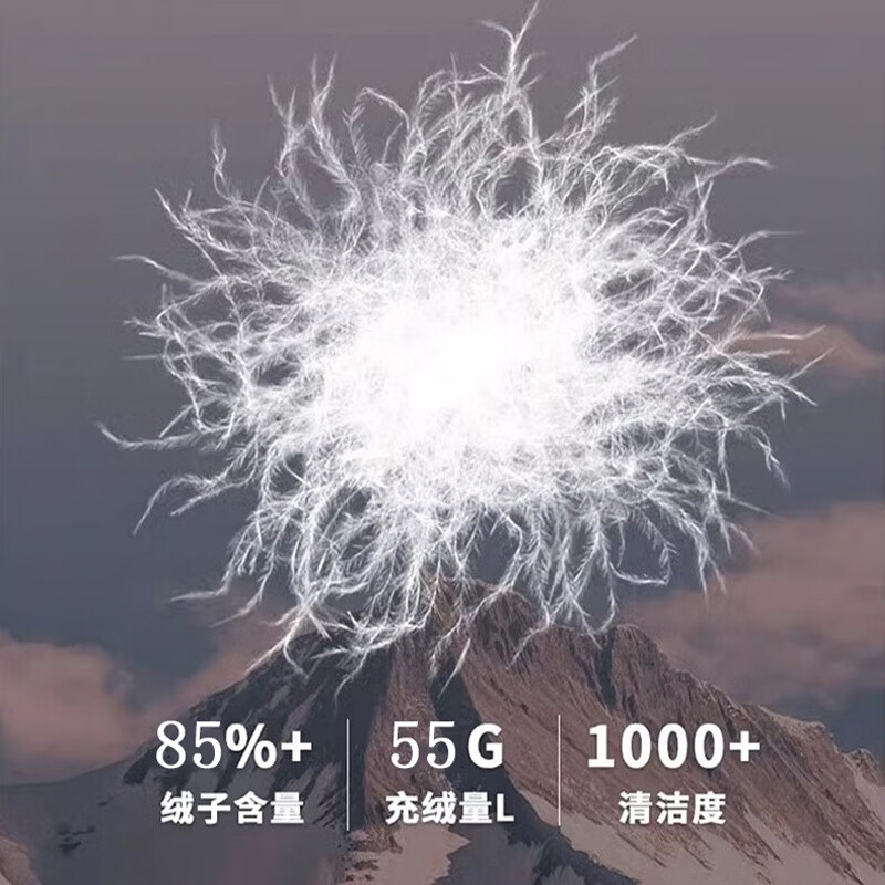 浪莎羽绒裤内胆女2025冬季新款内穿轻薄保暖防寒零下40度打底保暖棉裤 白鸭绒羽绒内胆 【抗寒零下40度】 S 【建议：80-95斤】