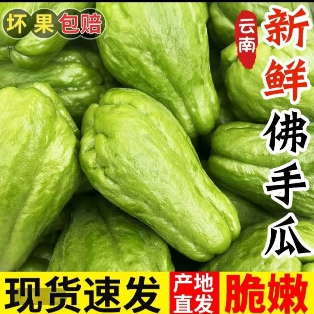 云南佛手瓜新鲜蔬菜便宜特产正宗薄皮 净重9斤 京东折扣/优惠券