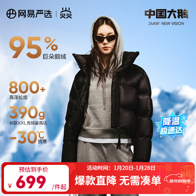 网易严选焱2.0升级经典95白鹅绒羽绒服高蓬五防大被子 24年基础款-短款-朱墨   S