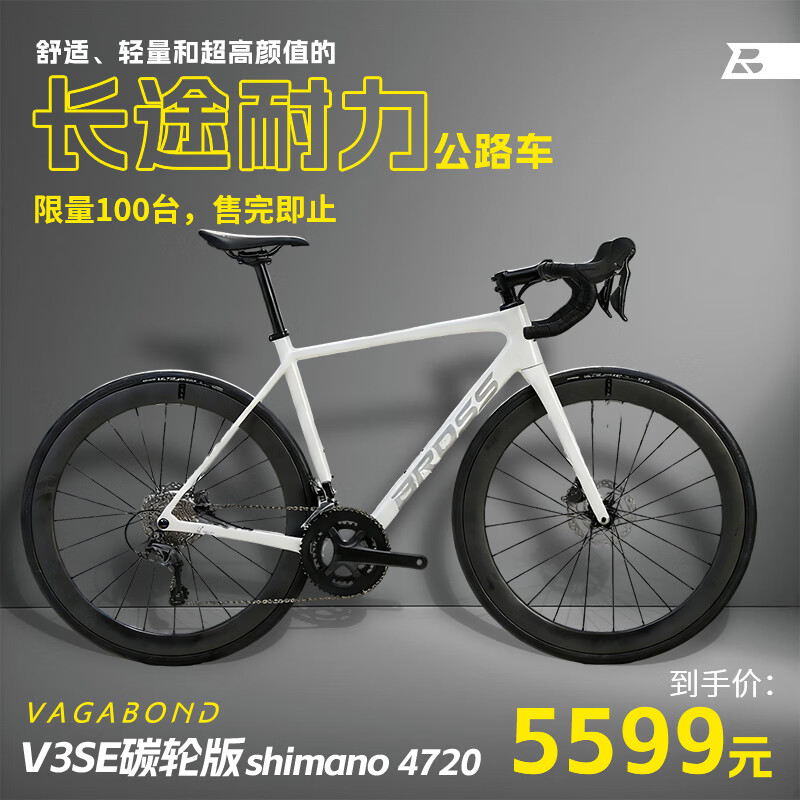 BROSS自行车V3SE，碳纤维长途耐力公路车,2*10速油压碟刹 V3SE碳轮版,白色 20速 M