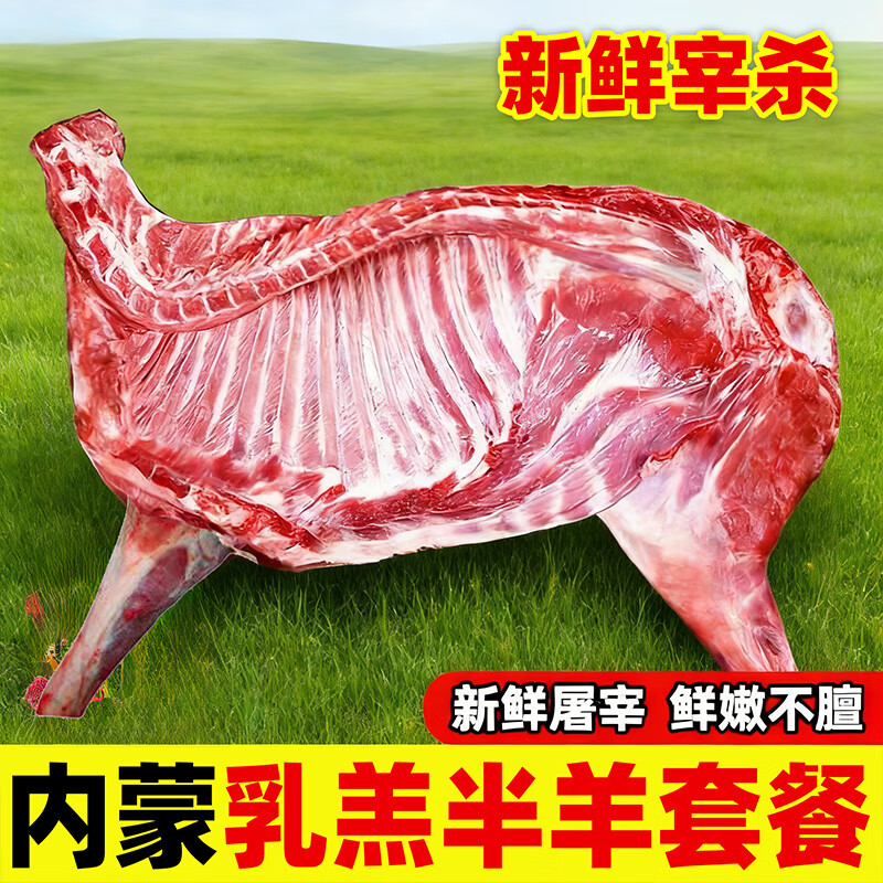 津尚鲜新鲜半只羊冷冻内蒙古羔羊肉10斤羊排羊蝎子整只羊腿全羊烧烤食材 【分割发货】10斤半只羊
