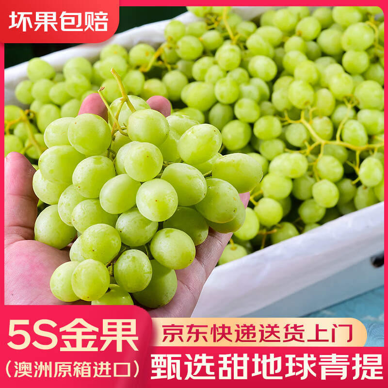 ���ڲ�������ζ�����޽�����������᡾JD��ݡ����������������Ѵ��������и�ˮ�� 1�ﾻ��װ|�̳�A+���Ź�46.9Ԫ