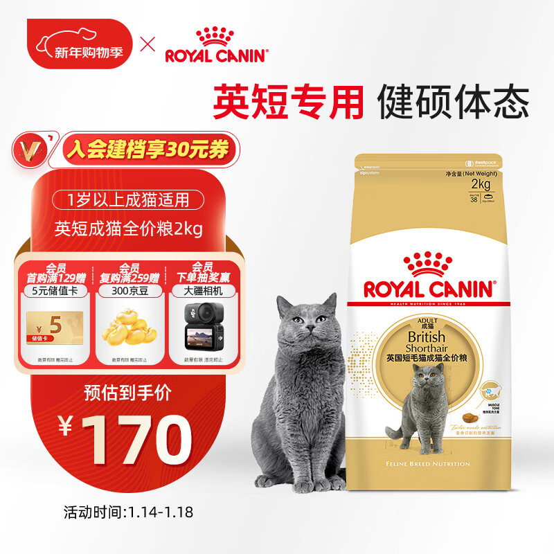 皇家猫粮 英短成猫粮 BS34 通用粮 12月以上 2KG