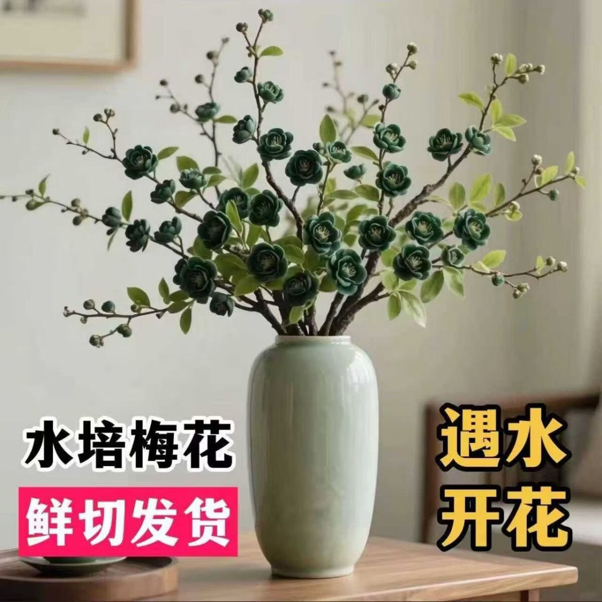 小红书同款遇水开花水培梅花AA 50-70厘米橙色 三周期开花10支（接受图与实物有色差拍）