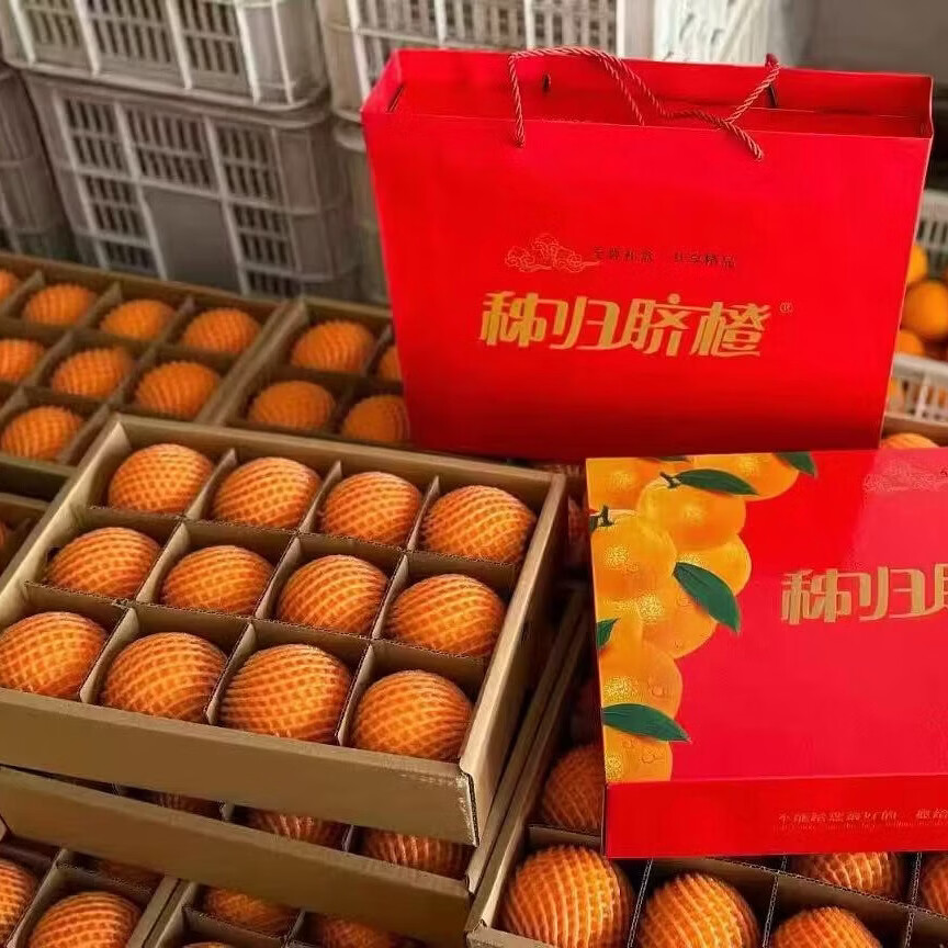 秭归中华红橙血橙秭归脐橙果冻橙子新鲜水果孕妇手剥甜橙湖北特产 【水果礼盒】12枚红橙80mm+