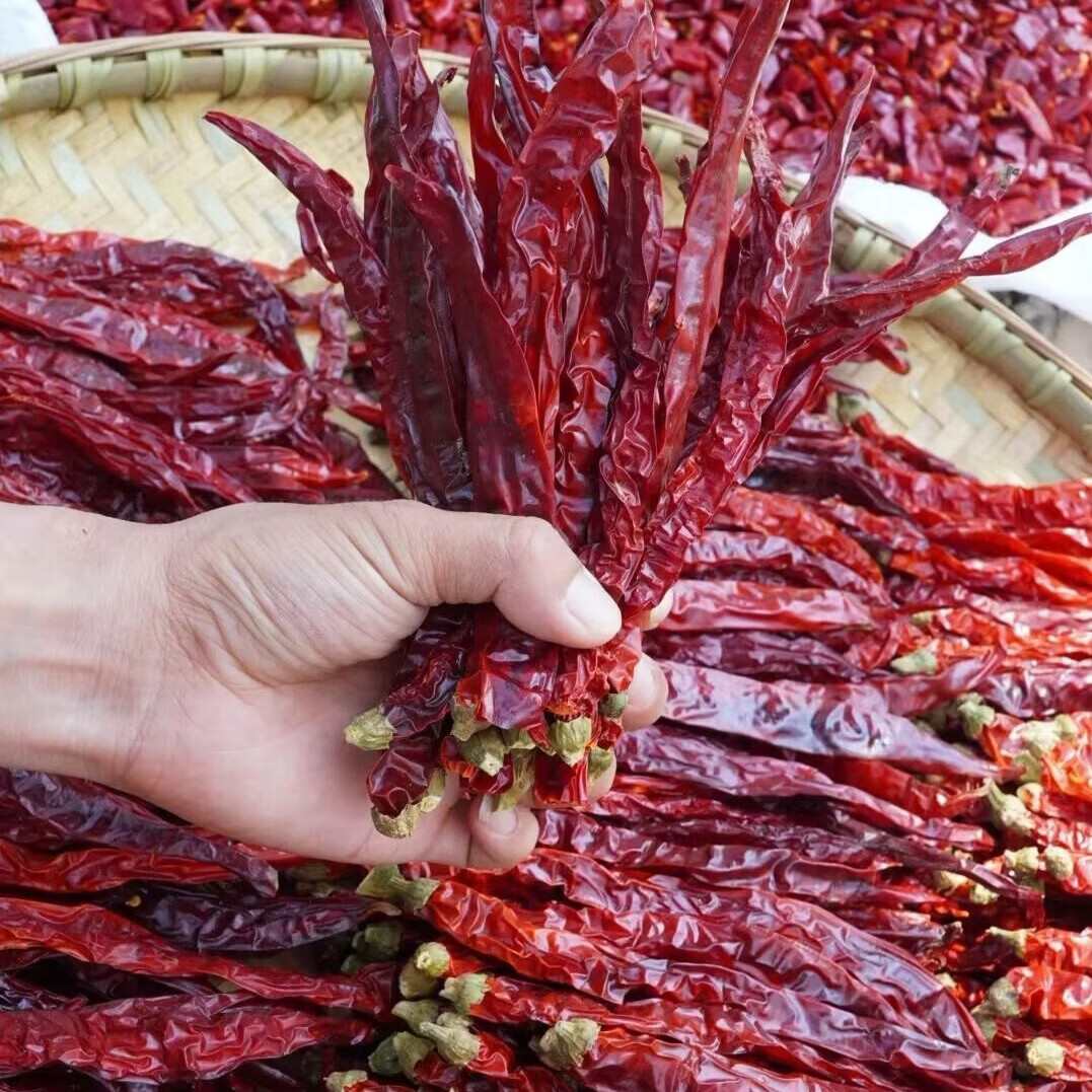 新疆特产二荆条辣皮子干辣椒微辣特香而不辣农家晾晒 1000g【根根精选】实惠 【微辣爆香】