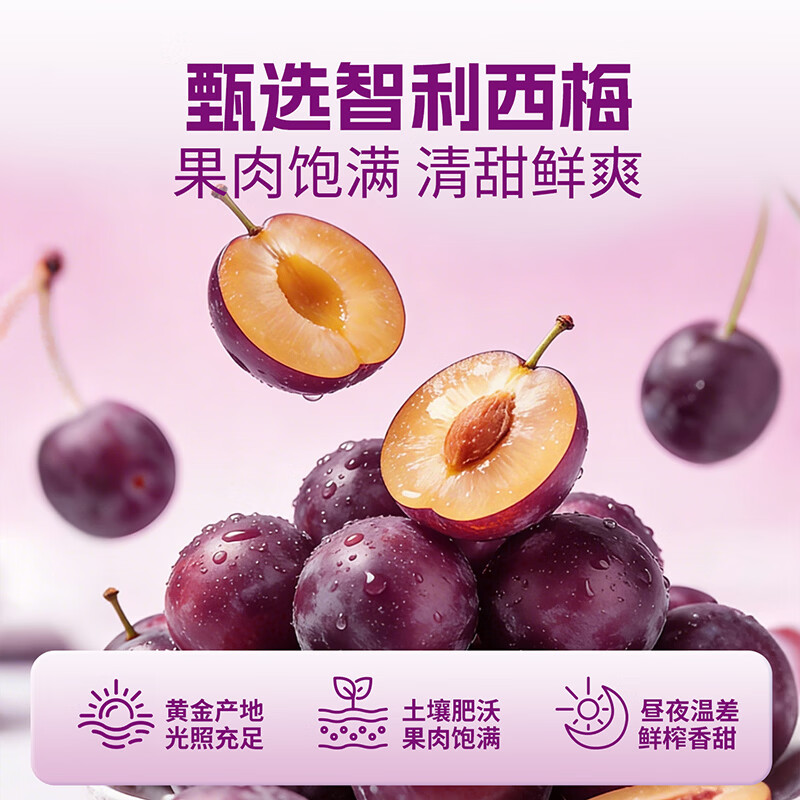 生和堂益生元西梅汁120ml 6大益生元膳食纤维复合果蔬饮料 益生元西梅汁120ml*10袋