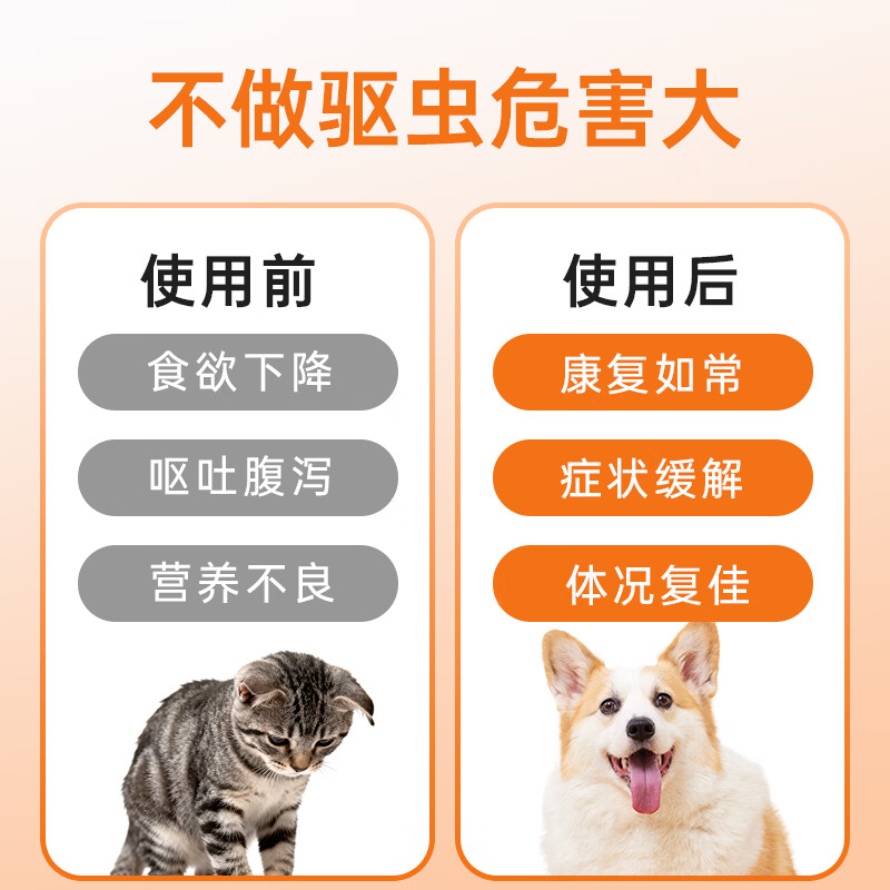 MOLLY CARE宠物驱虫药猫咪狗狗芬苯达唑片除跳蚤虱子蜱虫寄生虫幼犬体内驱虫 芬苯达唑片 6片*3盒 共18片