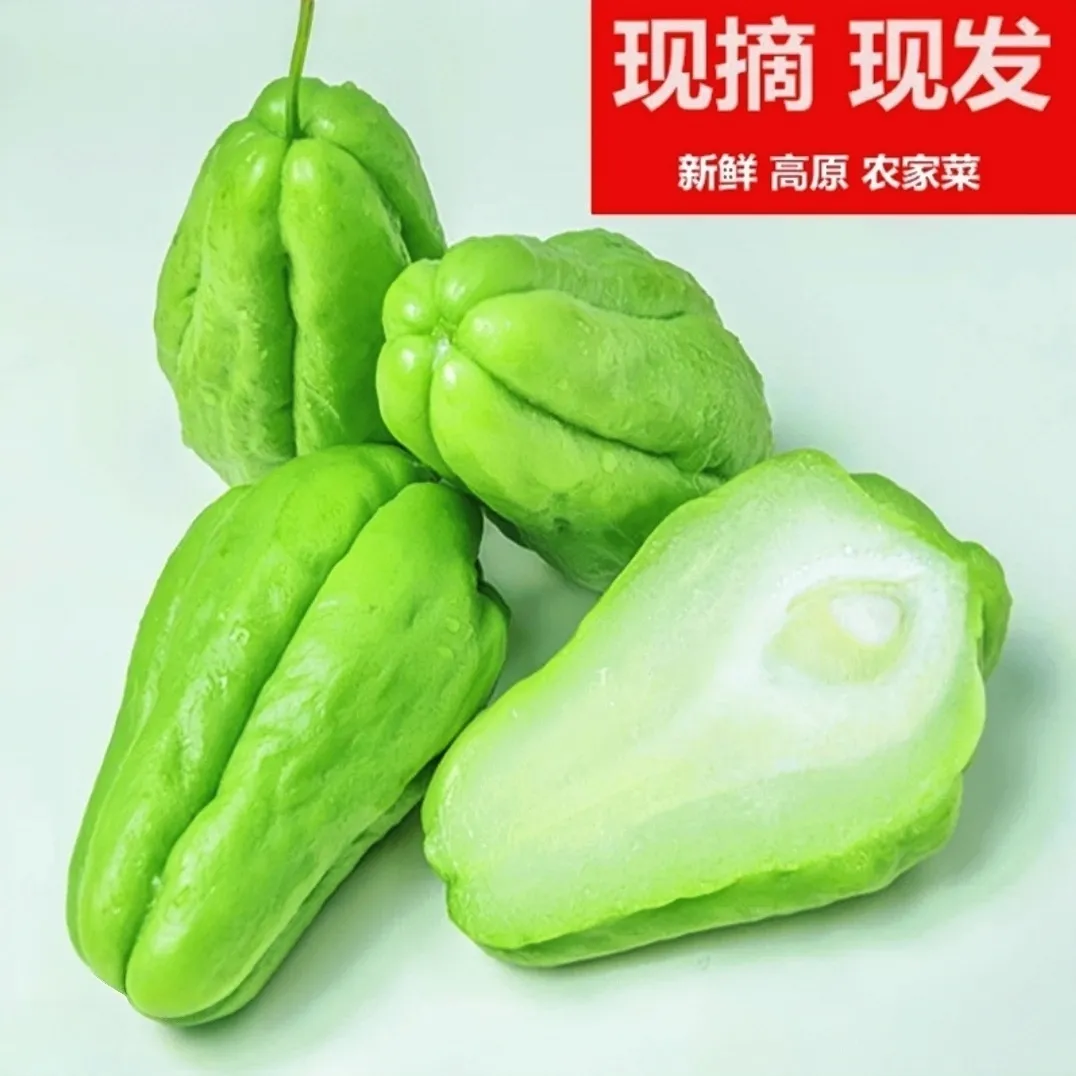 云南佛手瓜新鲜蔬菜便宜特产正宗薄皮 净重9斤