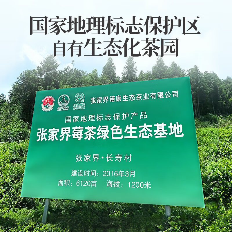 福锦袍张家界莓茶永顺龙须芽尖特级莓茶藤茶嫩芽尖花茶滋补养生茶125克 特级芽尖 125g*1袋 【张家界霉茶】