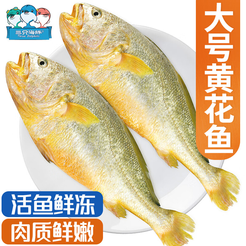 三只海豚新鲜冷冻黄花鱼700g/2条装 宁德大黄鱼 深海鱼 生鲜鱼类 海鲜水产
