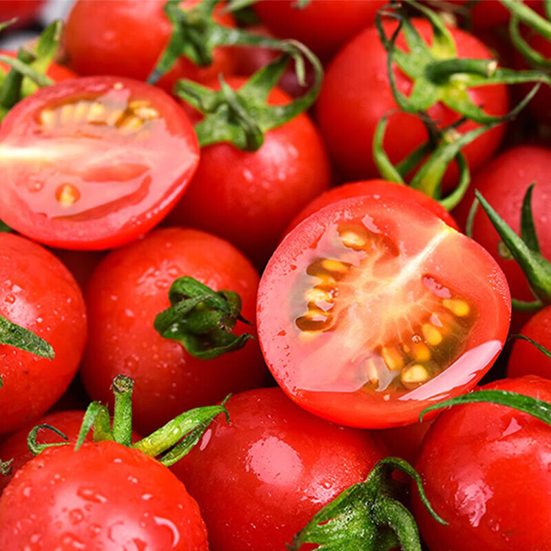 牛爱鲜 圣女果小番茄多汁水果新鲜采摘现发适合孕妇宝妈食用 圣女果 4.5斤 单果8g+ 新鲜蔬菜