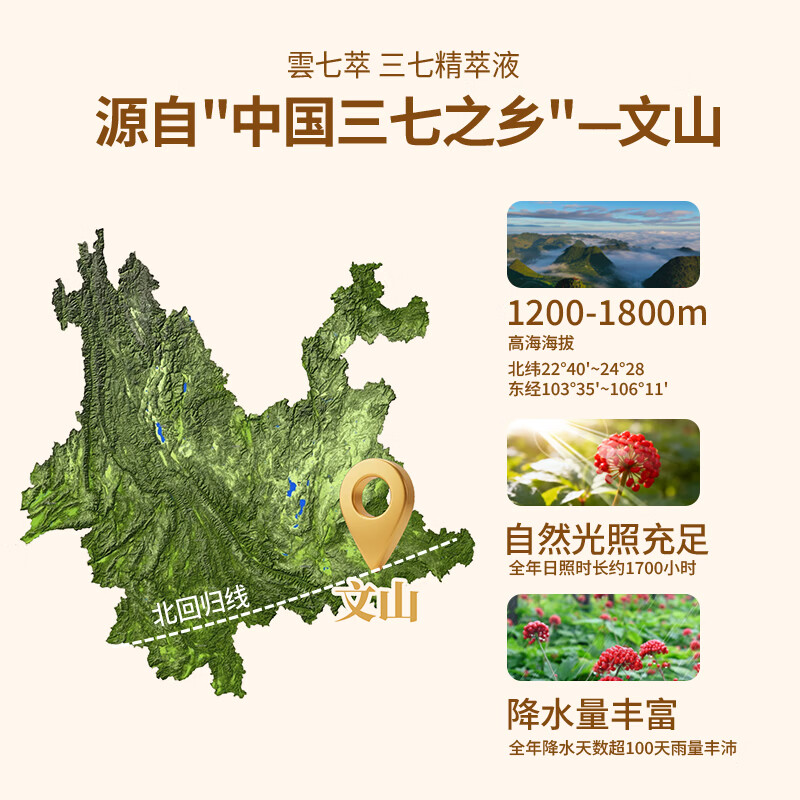 云七萃文山三七精萃液口服液 三七粉替代品 气血调理中老年滋补熬夜人群 三七精萃口服液 225ml*1盒 15支体验装