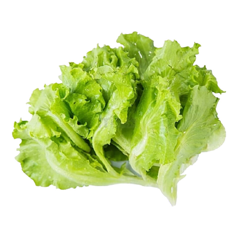 ������������ ������������� �ļ����� ��̨ͥԺ���� 3��Լ3000��    3Ԫ(����ȯ)