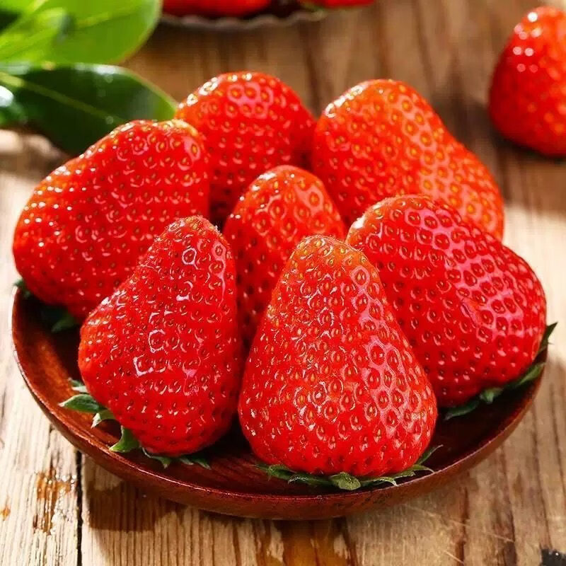 探味先生【顺丰送货上门】山东正宗隋珠香野草莓 每天现摘现发 新鲜水果 净重2.8斤中大果【现摘现发单果15-25g】