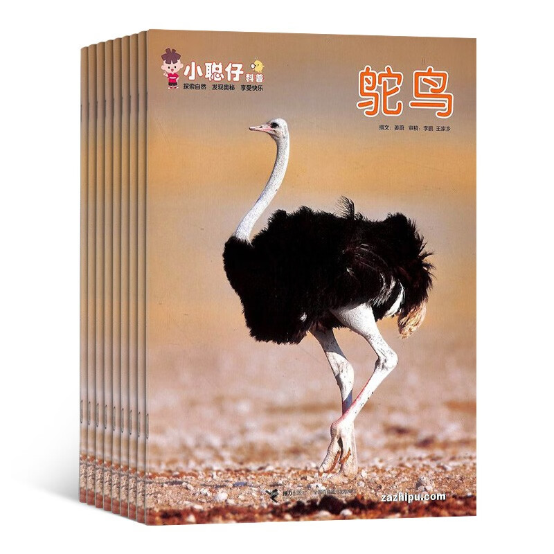 【预售【杂志预计4月发货】小聪仔自然科普版杂志订阅 2023年4月起订 1年共12期 杂志铺（先发“杂志订阅清单）