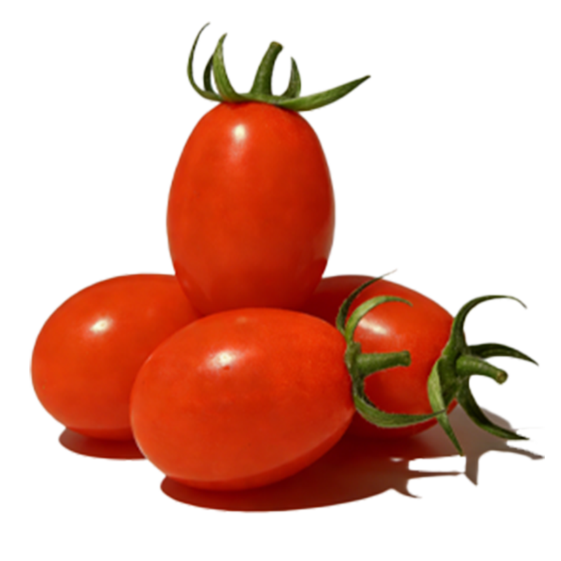 京鲜生电白千禧枸杞小番茄净重900g单果4g+ 露天种植小番茄源头直发