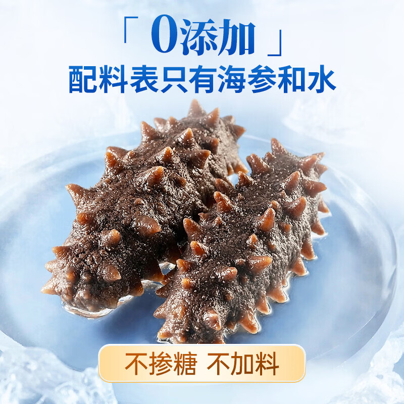 小兵海参侯勇同款 鲜食海参即食海参深海刺参 独立包装免泡发送父母长辈 3斤(买2斤送1斤 高性价比) 大头(7-9只/斤)