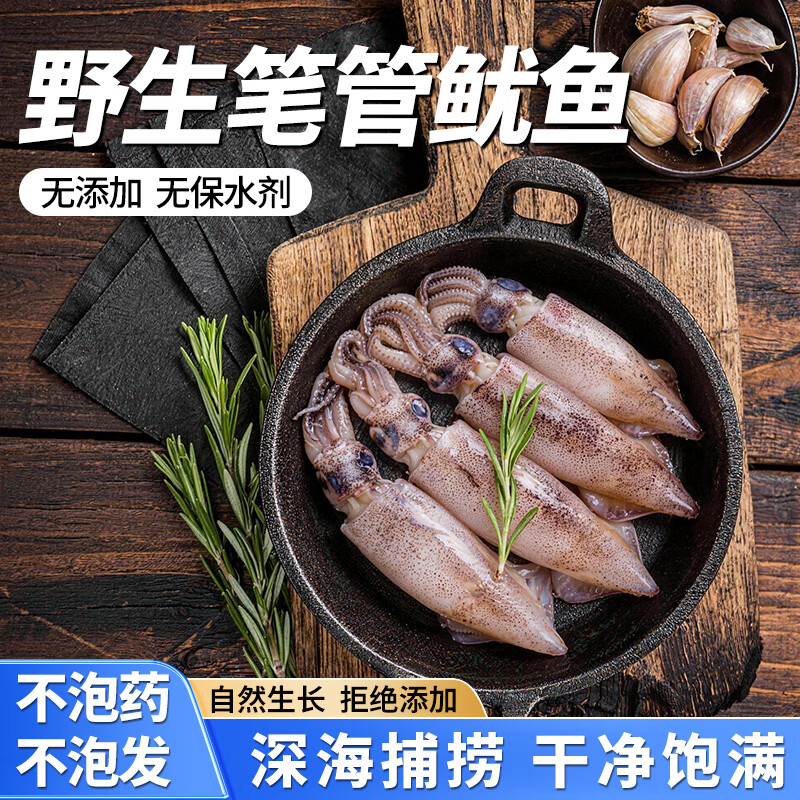 寓师傅新鲜整只笔管鱿鱼净重1斤 海兔子墨斗鱼无保水剂烧烤食材海鲜水产 笔管鱿鱼 1包 1斤(净重) 