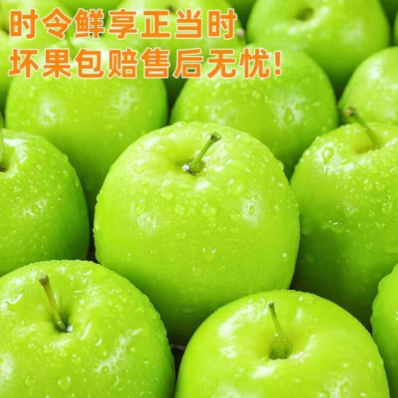 陆贞新货福建牛奶枣贵妃蜜枣青枣脆甜多汁新鲜应季水果整箱批发 老树贵妃枣更脆更甜 脆甜贵妃枣净重4点5斤单果65克起约25-5个