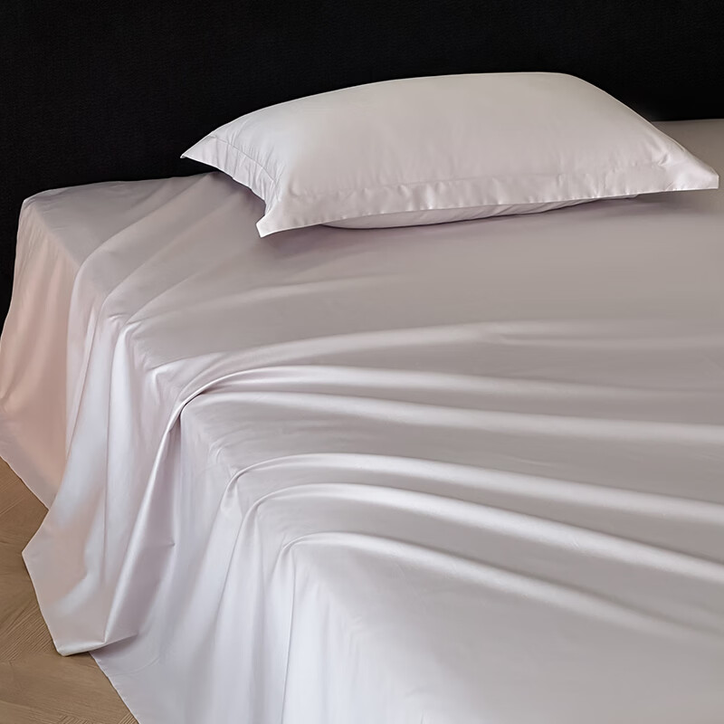 ROLAND LIVE轻奢风简约50支双股长绒棉全棉纯色床单单件纯棉学生宿舍床铺单 SW全棉长绒棉床单单件-长期主义微微紫 单床单180x230cm