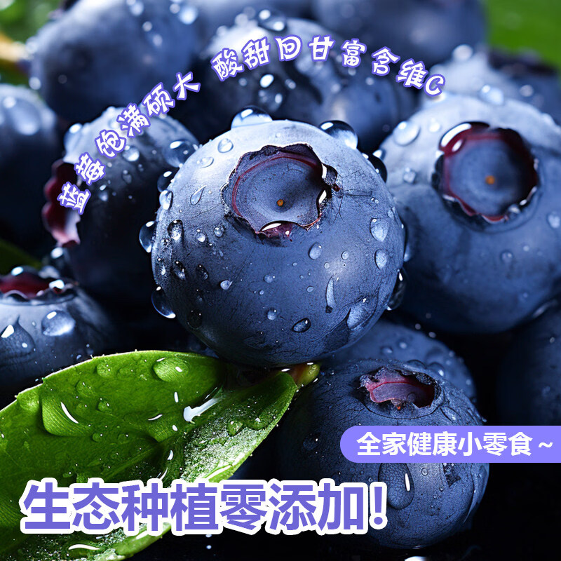 鲜宝道云南高山新鲜蓝莓鲜水果【JD-多地次日达】 云南蓝莓12+（100g/盒）*2盒