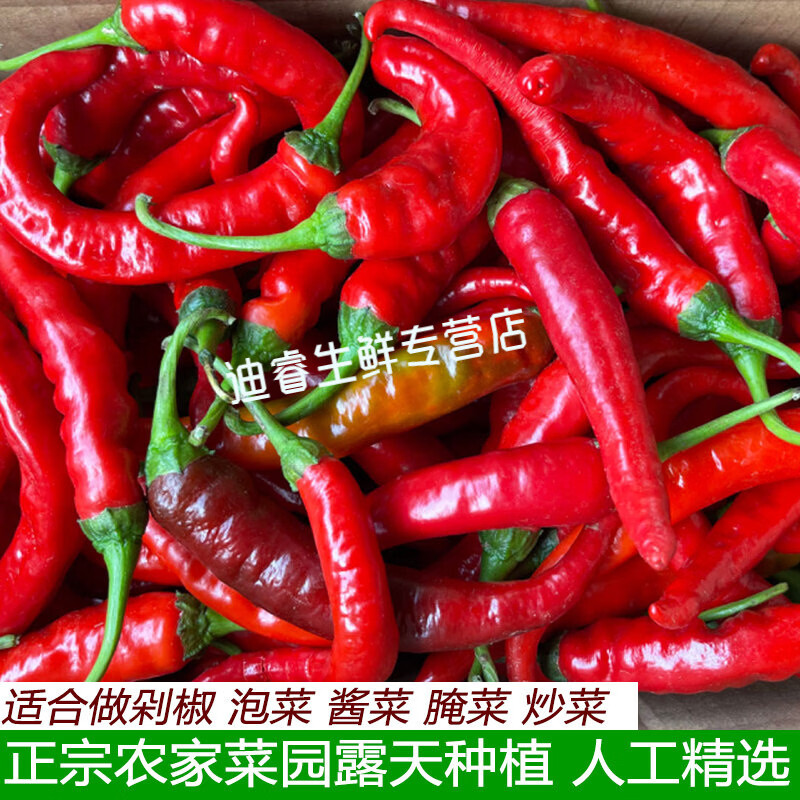 桃西村农家蔬菜自种红辣椒湖北新鲜红辣椒红杭椒小红尖椒腌泡椒剁椒食材 1斤 试吃装