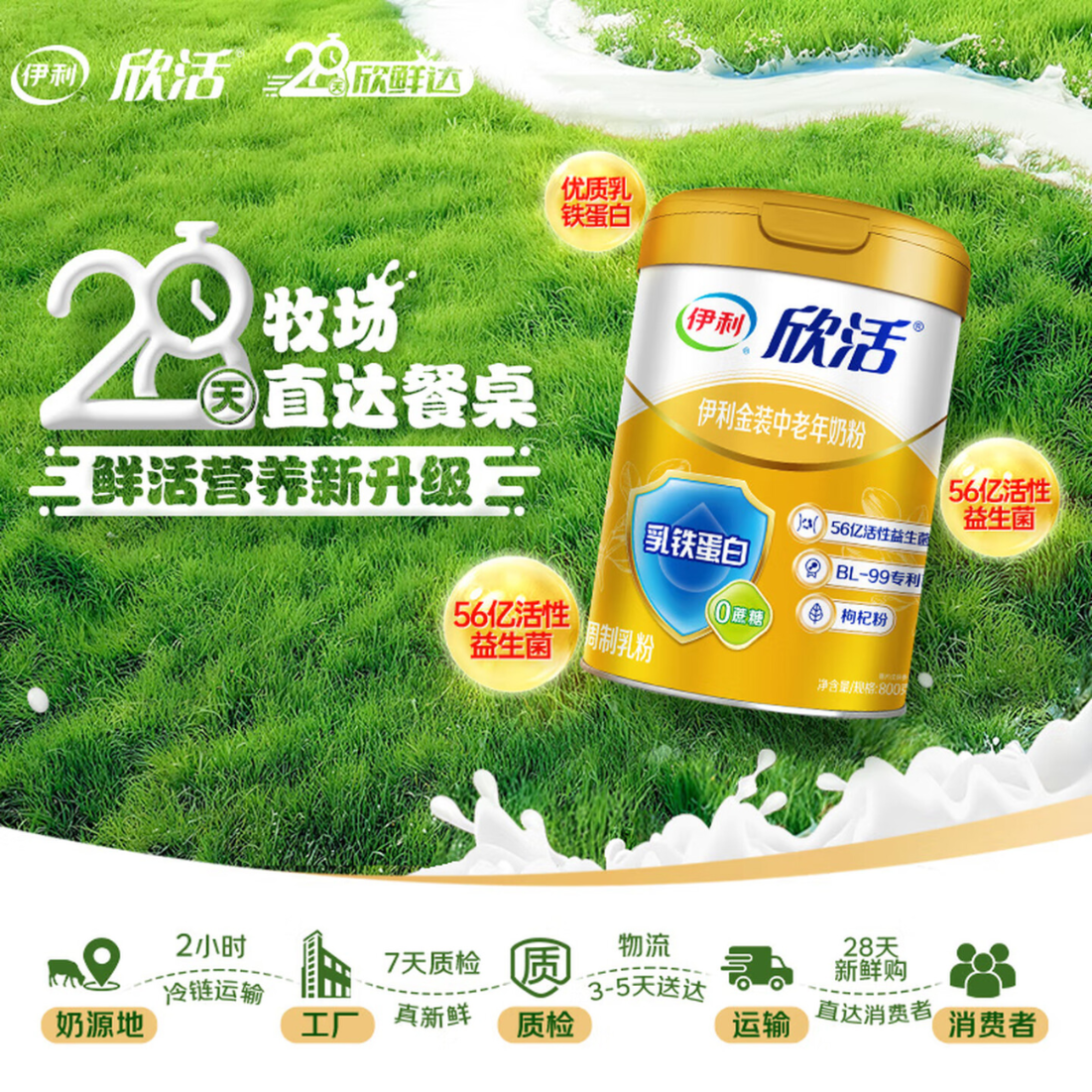 伊利[28天新鲜直达]欣活金装中老年奶粉 高钙乳铁蛋白营养 送礼 800g