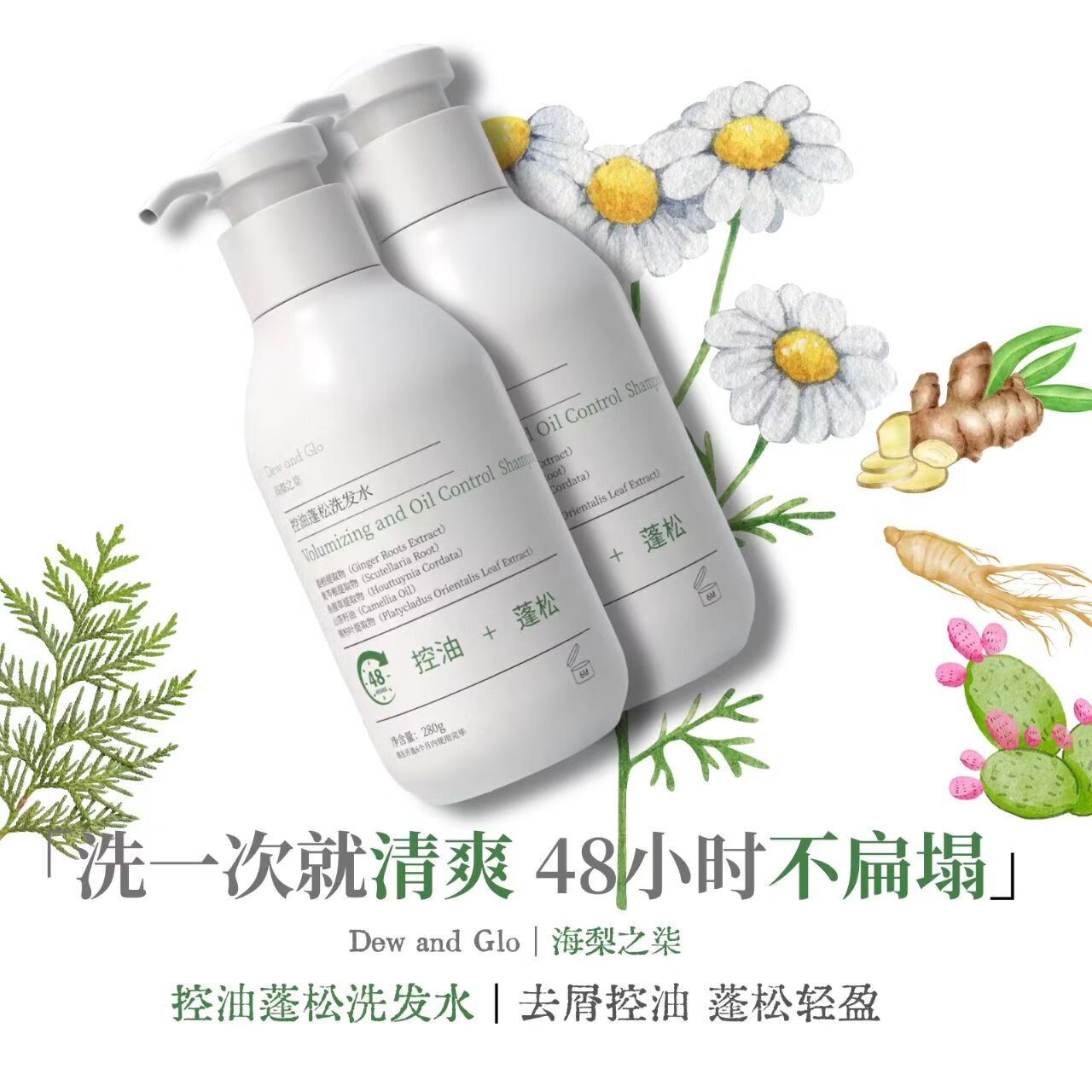 海梨之柒Dew and Glo 海梨之柒控油蓬松洗发水 正品 去屑洗发水 清爽持久 605g组合装(280g两瓶+45g)