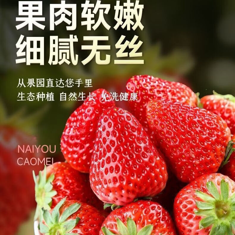 红颜草莓99奶油草莓【JD/SF多地次日达】草莓水果礼品盒 2盒礼箱装【时令尝鲜】 11枚大果【单果20g-30g】