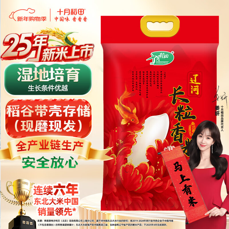 十月稻田 辽河长粒香大米 10斤（东北大米 香米 5公斤/十斤）