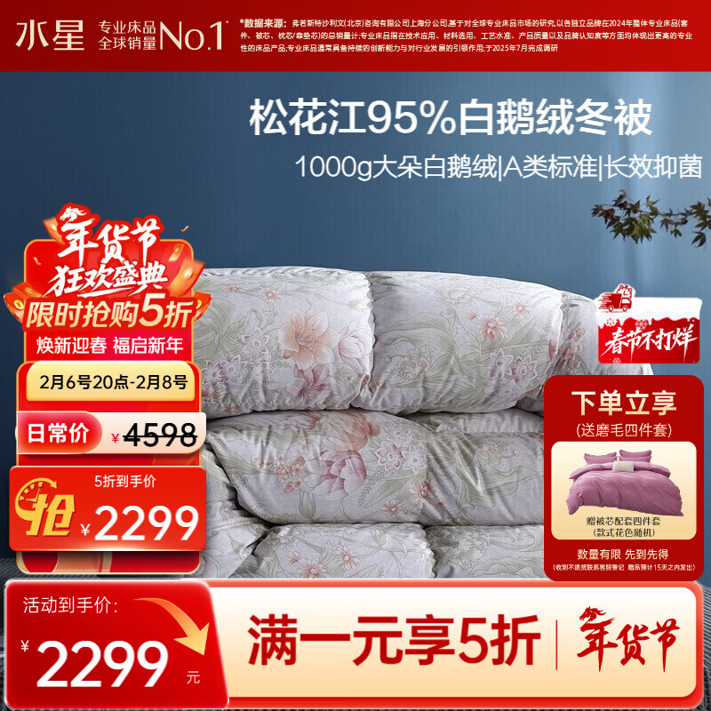 水星家纺羽绒被95%白鹅绒被子冬季加厚冬被芯双人羽绒被200cm×230cm-1000g
