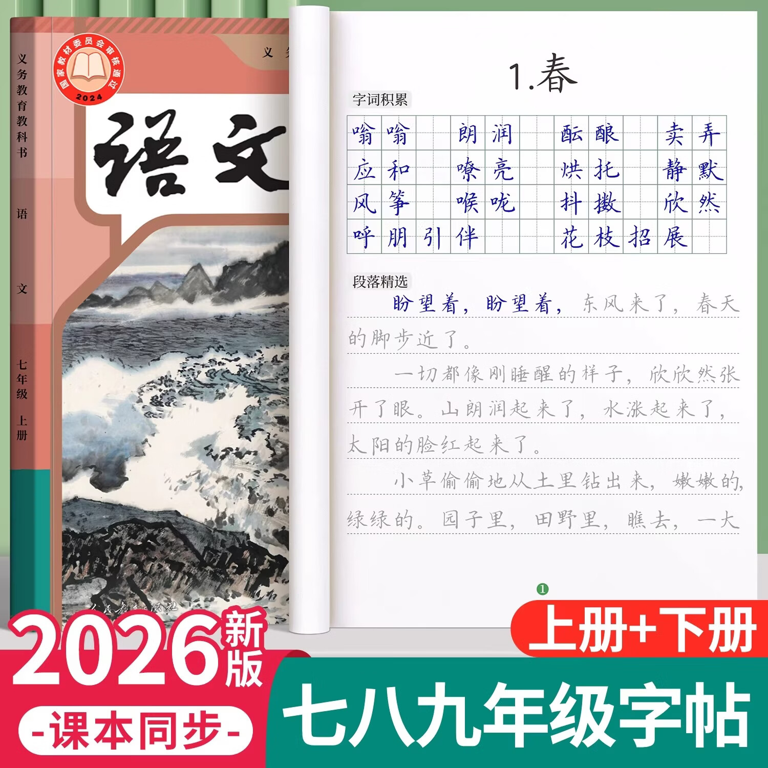 金枝叶七年级语文字帖初中生专用练字帖上册同步人教版楷书正楷2026新版小升初中学生钢笔练字本