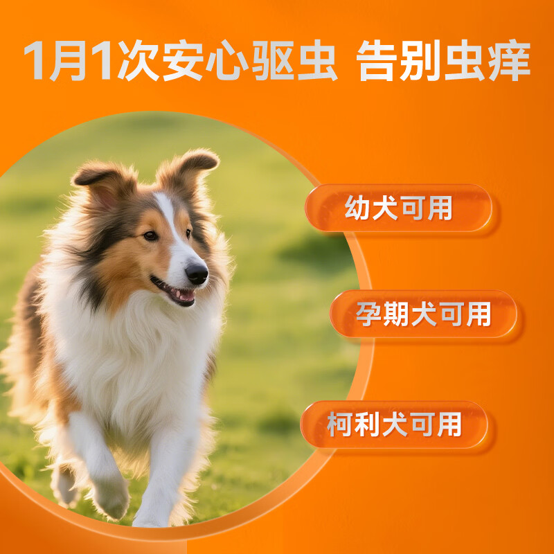 普安特猫咪狗狗驱虫药体外驱虫滴剂幼猫幼犬蜱虫跳蚤虫卵复方非泼罗尼 爱滴恩-复方非泼罗尼滴剂丨犬用 0.67ml*2支