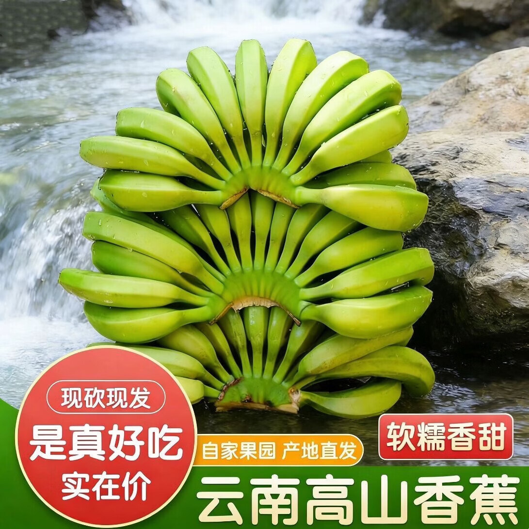 云南高山香蕉正宗甜香蕉绿皮薄皮整箱香甜现摘应季水果5 商超品质发货带箱5斤 高山青蕉发货，捏着软就可以吃，无需看颜色
