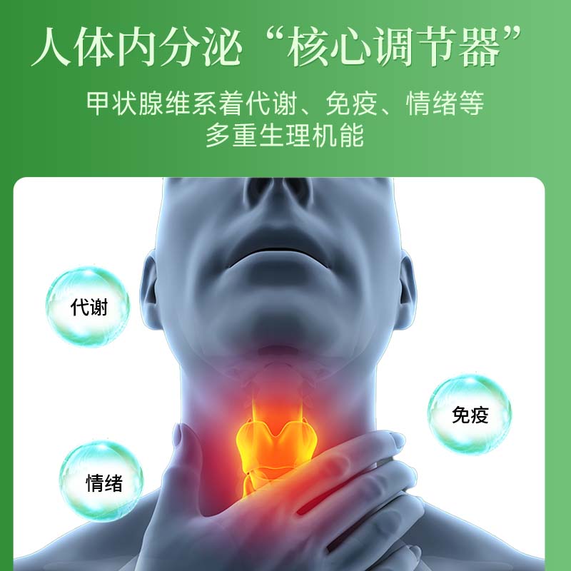 NATUREMPIRE美国原装进口甲状腺结节散猫爪草胶囊槲皮素姜黄桥本甲腺炎甲减亢 【3瓶强效装】买2赠1 消炎消肿 60粒*3瓶