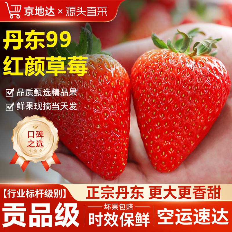 京地达草莓丹东草莓99红颜草莓新鲜水果净重1.8斤单果20g+源头直发包邮