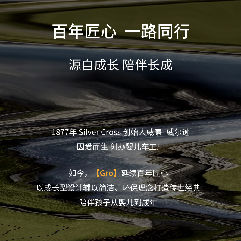 Silver Cross 宝宝成长餐椅0-6岁婴幼儿童学坐家用座椅 暮光金 暮光金 5件套(单椅+护栏+安全带+坐垫靠垫+双层餐盘)