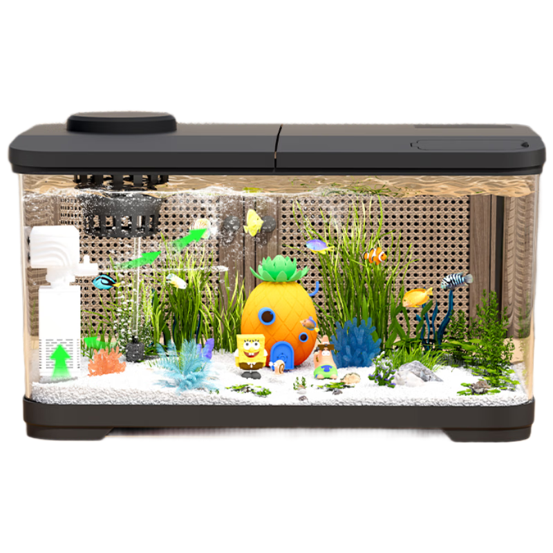 ��ɭ ��� С�Ϳ�����̬�쾰 ��������һ��� �������� ˮ���� ��ɳ�� ��ɫ 76.9Ԫ