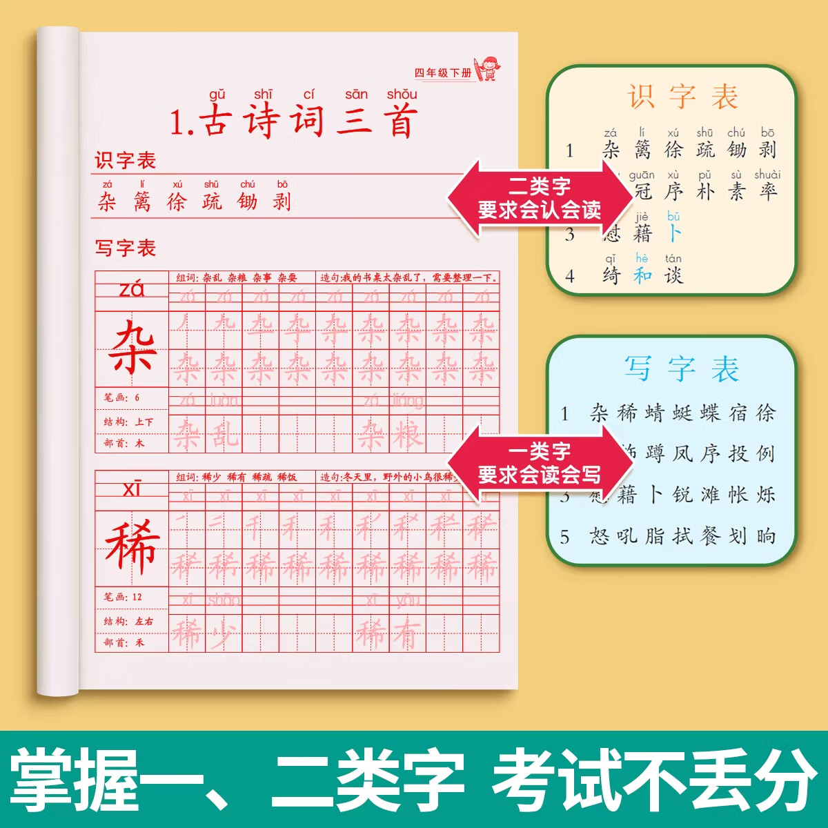 金枝叶四年级下册字帖语文人教版2026新版四年级上册下册同步练字帖4年级小学生专用钢笔临摹生字帖上下学期部编版练字本写字课课练 【四年级上下册】同步练字帖
