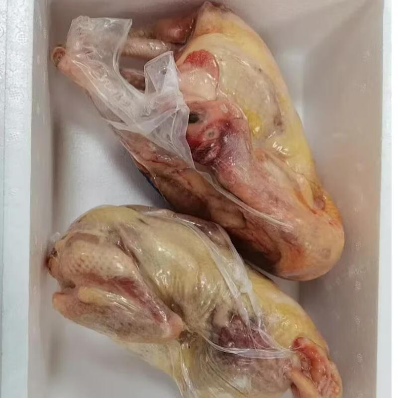 谢利盖新疆散养山花土鸡整鸡礼盒两只装送七珍菌汤包净膛鸡鲜美营养紧实 3kg 1.5kg*2只 新疆/上海双仓随机，公母鸡随机