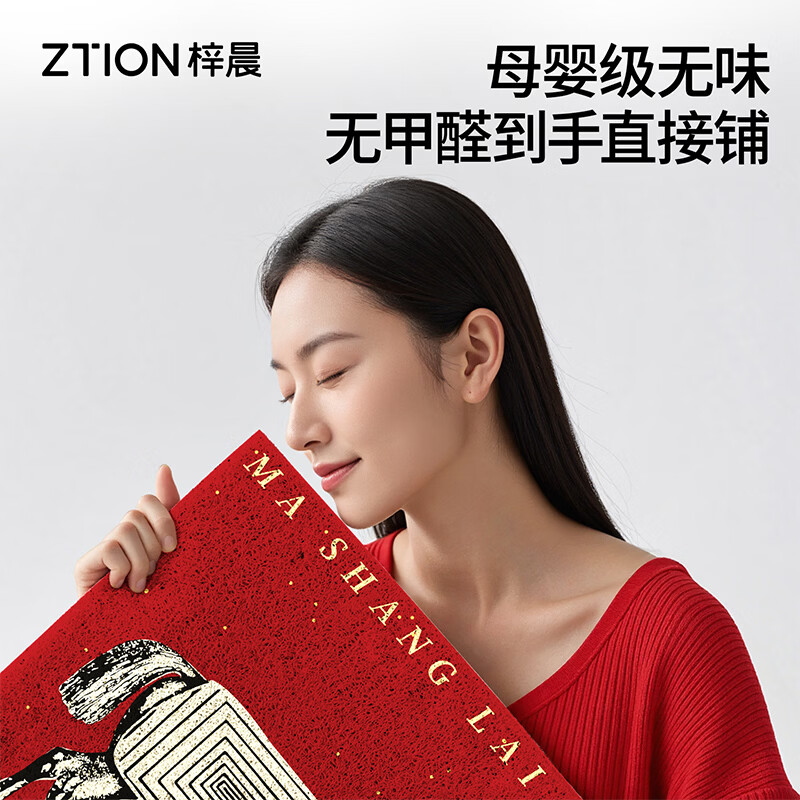 梓晨2026新款马年入户门地垫马上来财红色喜庆家用门口脚垫除尘垫子 马上来财-黑色  60×90cm 