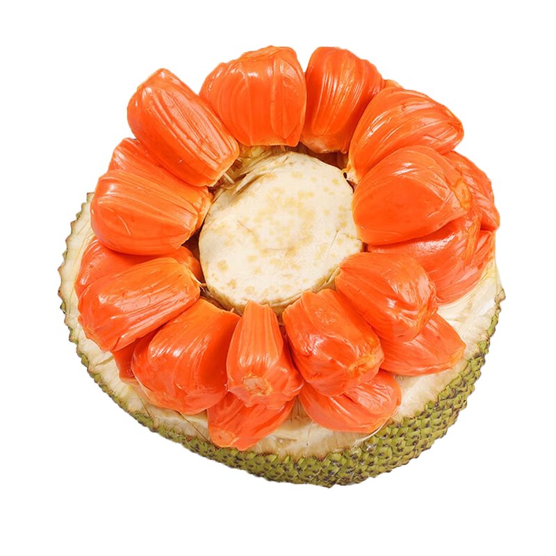 ɽķ����ӡ����Ⲥ���ۡ���ʳ�������и����𵱼�ˮ�������� ��������ʳ-���ù��⡿2��װ S+����30��������-�������