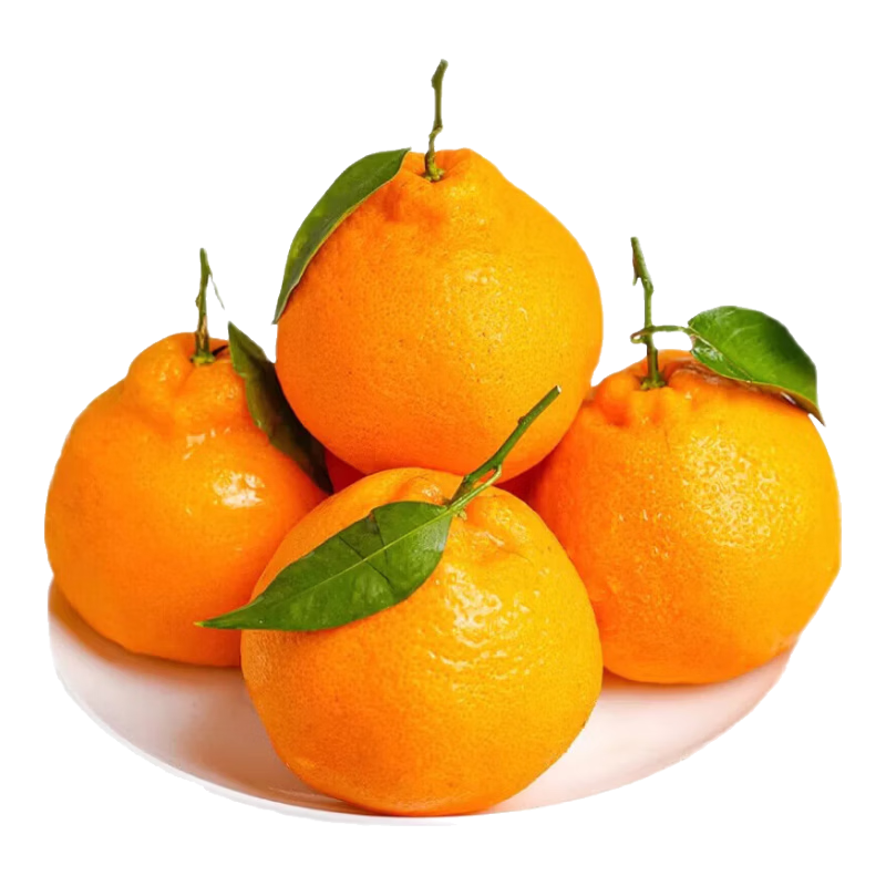 �ҰҸ� �Ĵ��ز� ���� ����ˮ�� ���� ������ժ 10�����װ 29.9Ԫ