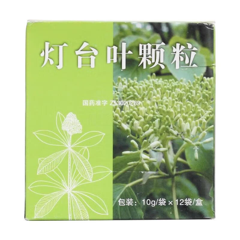 [雲植] 灯台叶颗粒 10g*12袋/盒 1盒