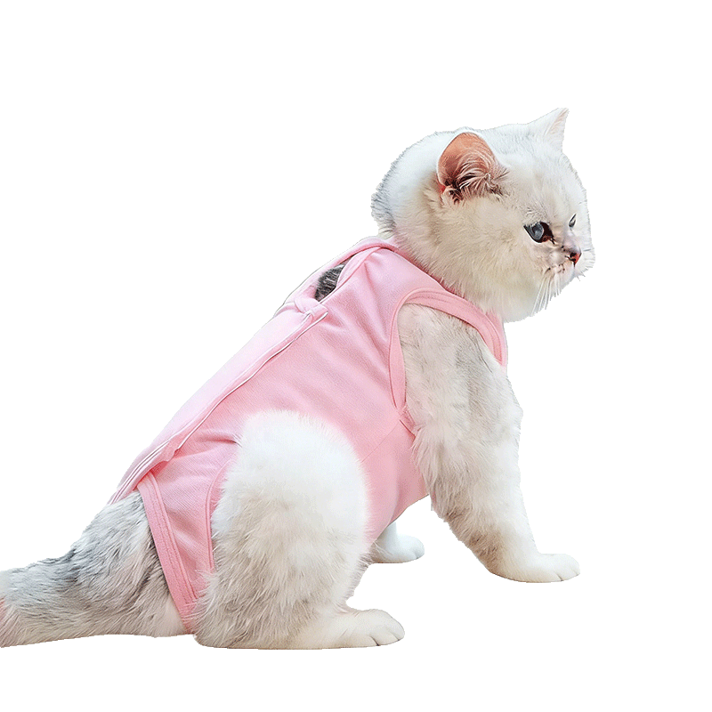 ����������è�������è������ĸè�·���������ָ���Сèè͸�������� 18.49Ԫ