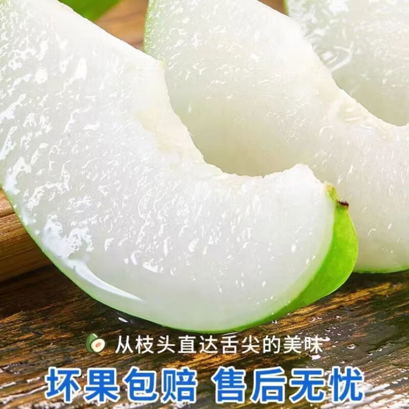 陆贞新货福建牛奶枣贵妃蜜枣青枣脆甜多汁新鲜应季水果整箱批发 老树贵妃枣更脆更甜 脆甜贵妃枣净重4点5斤单果65克起约25-5个