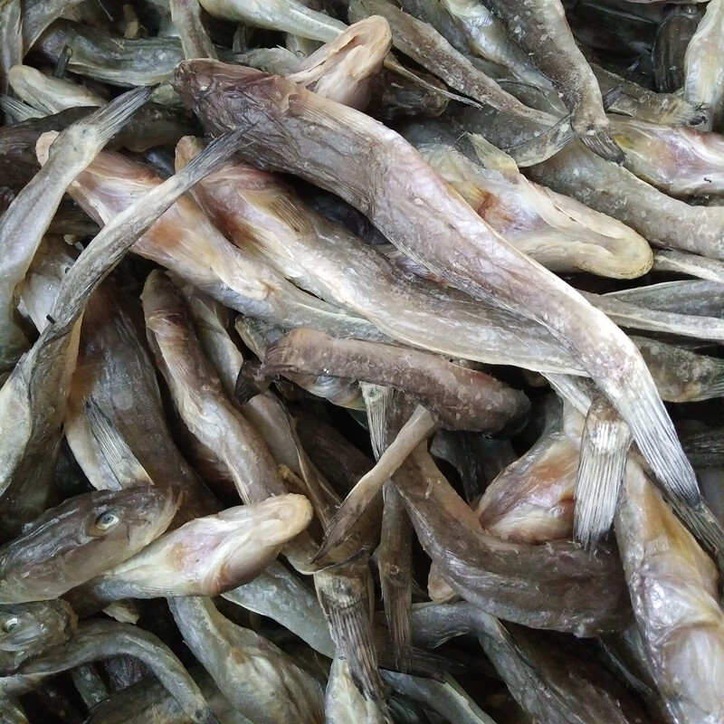 虎钢馋2份山东博山博山大头鱼大头靠小干鱼咸鱼500克一斤装