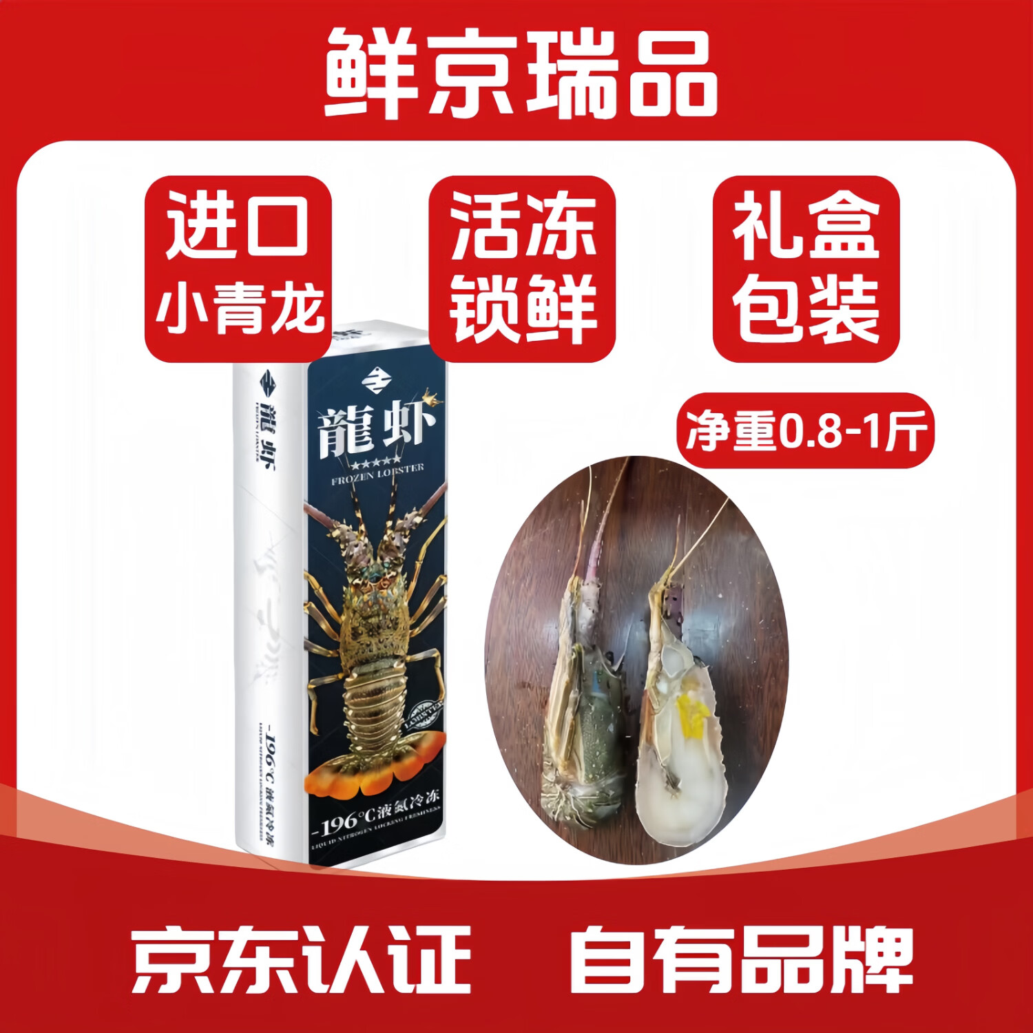 鲜京瑞品帝王蟹智利活冻小青龙冰鲜皇帝蟹生冻大螃蟹海鲜春节年货送礼礼盒 小青龙一只【净重1.8-1斤/只】